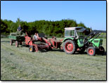 Heu wird nach schonender Trockung gepret in kleine, handliche Ballen